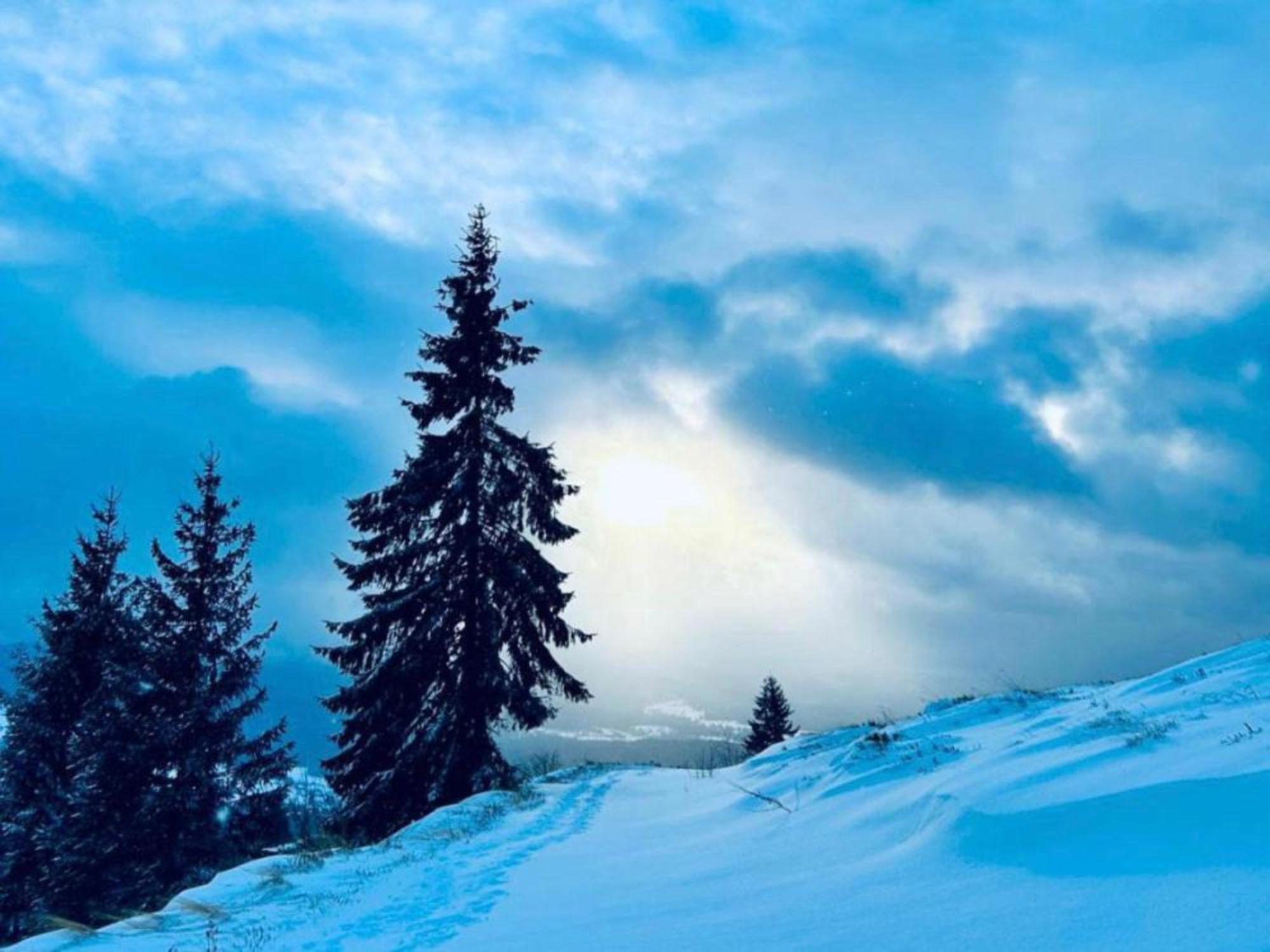 Tiarra Mountain Lodge Beliş 외부 사진