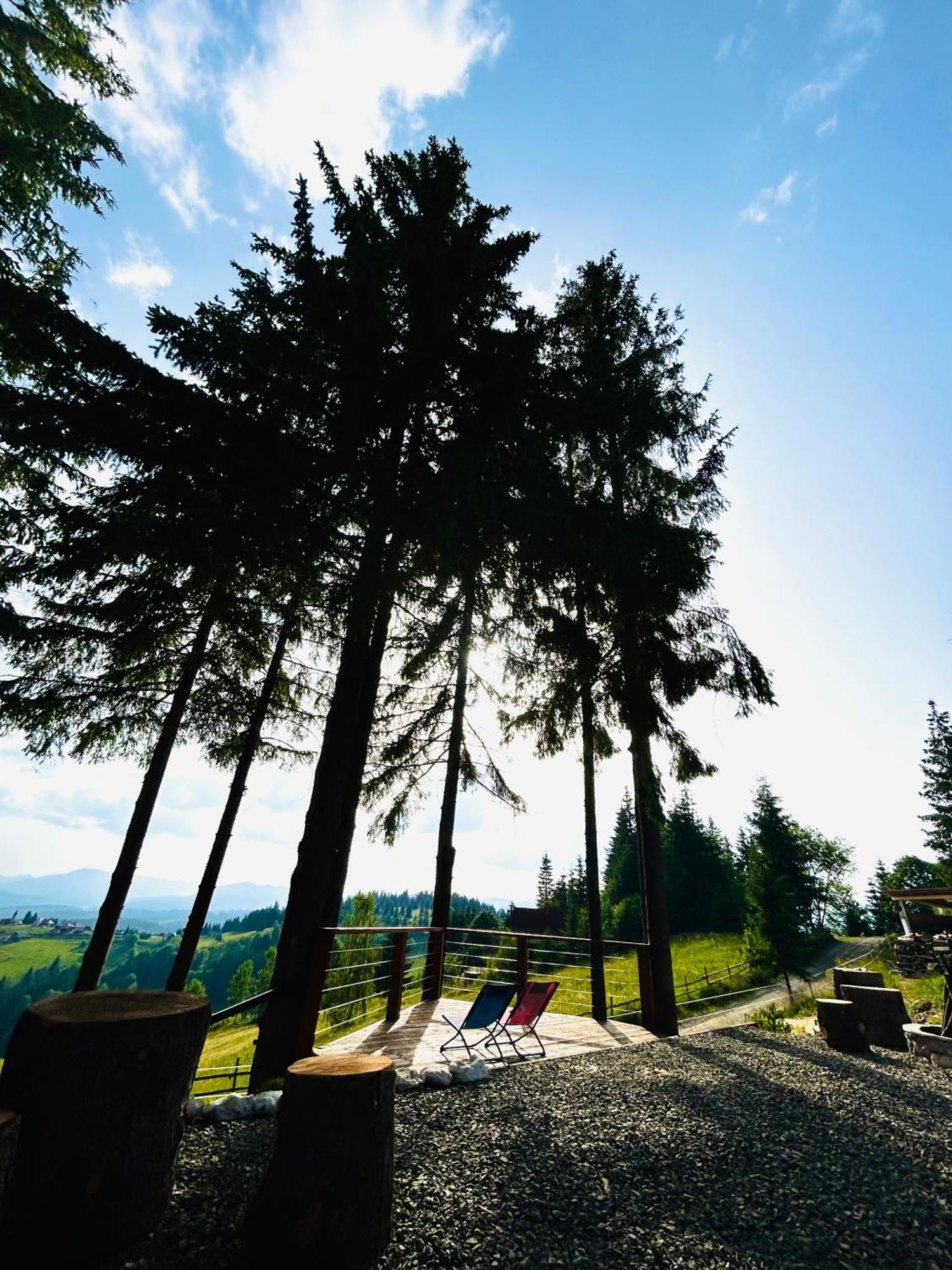 Tiarra Mountain Lodge Beliş 외부 사진