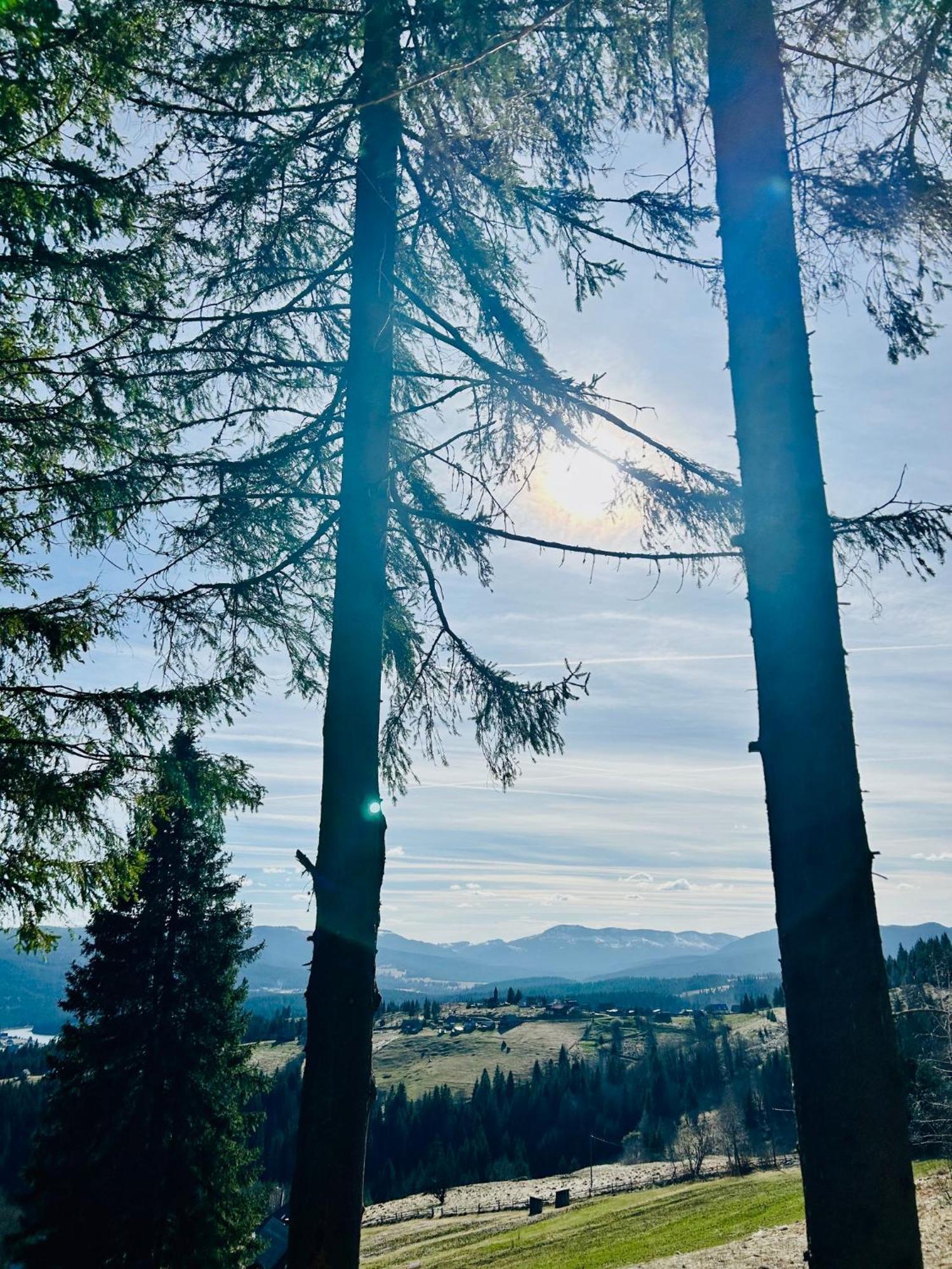Tiarra Mountain Lodge Beliş 외부 사진
